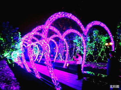 苏州恒大悦珑湾国际灯光艺术节，浪漫今夏，点亮姑苏